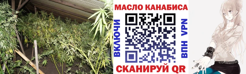 Купить закладки  Вичуга  ТГК концентрат 