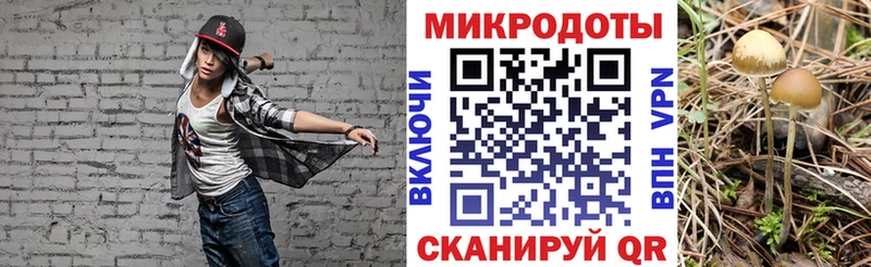 Галлюциногенные грибы мухоморы  Купить закладки  Вичуга 